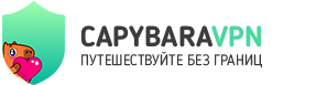 CapybaraVPN