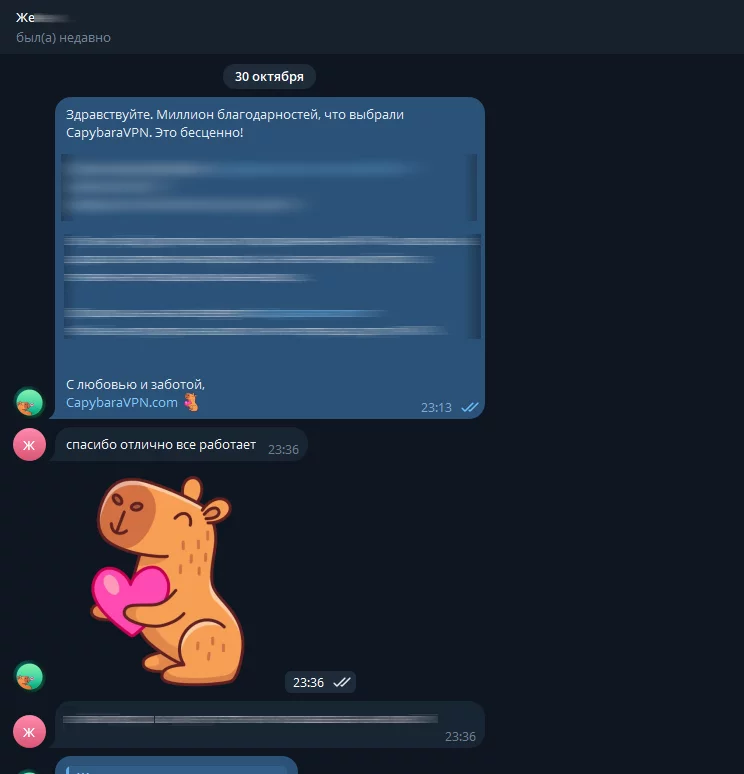 Отзыв №12 о CapybaraVPN