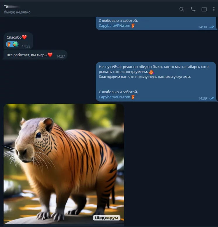 Отзыв №16 о CapybaraVPN